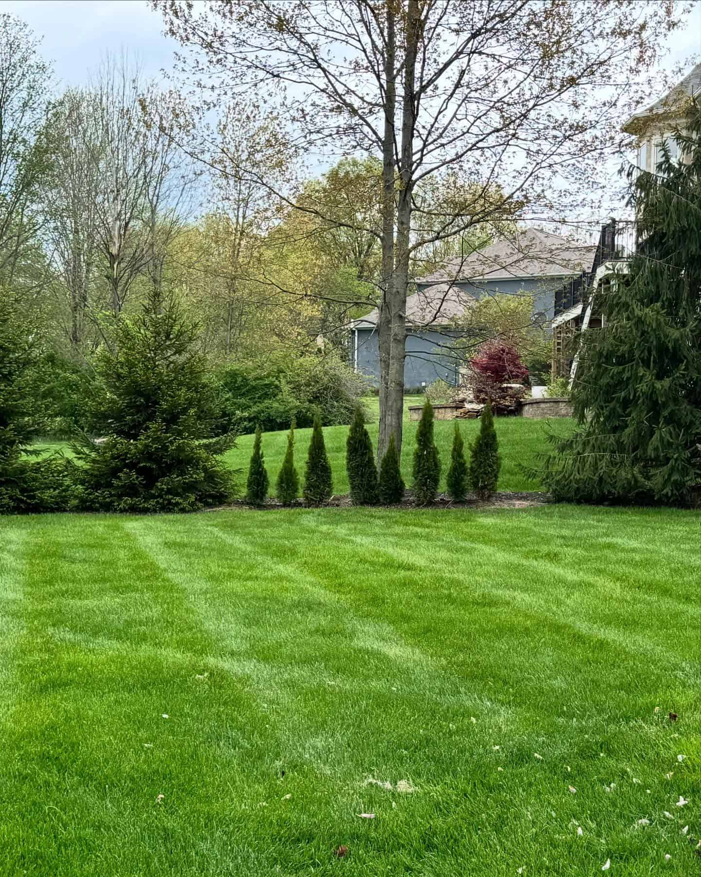 Land Maintenance Services image