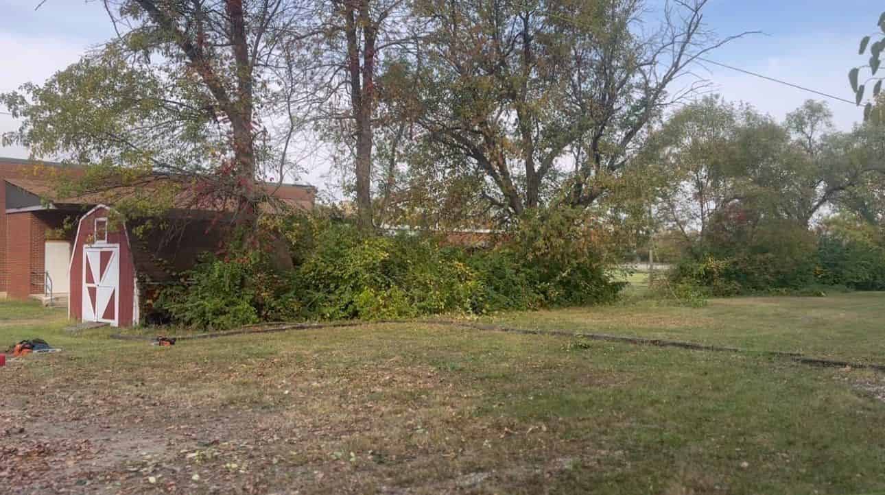 Land Clearing Services image