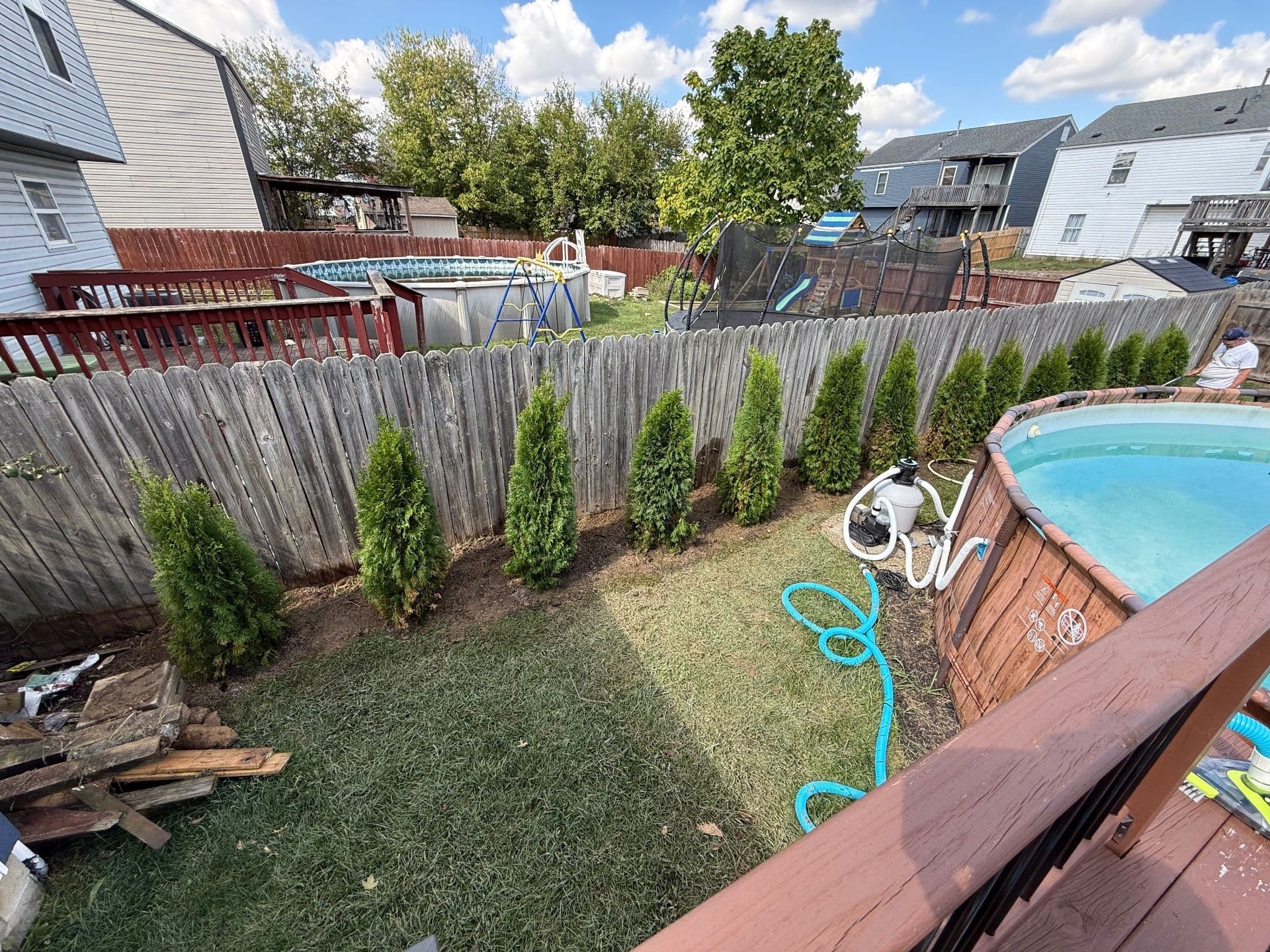 Enhancing Backyard Privacy with Arborvitae Planting image