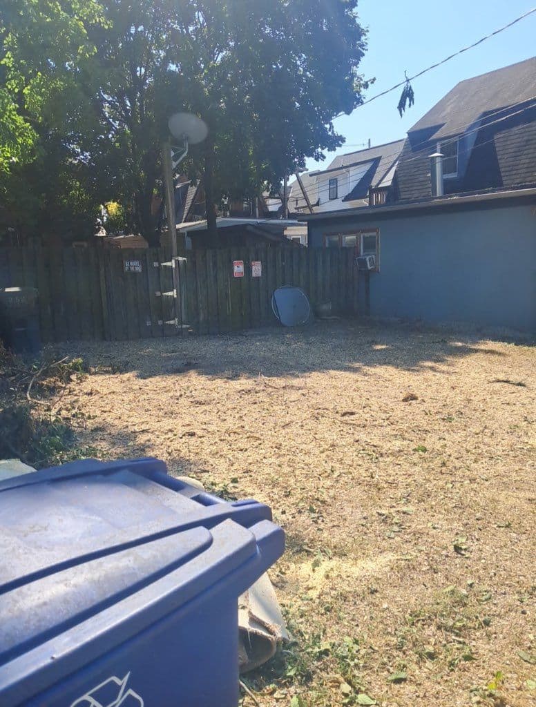 Transform Your Yard with Expert Tree Removal image