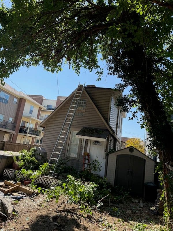 Unexpected Tree Overhaul in Columbus Ohio image