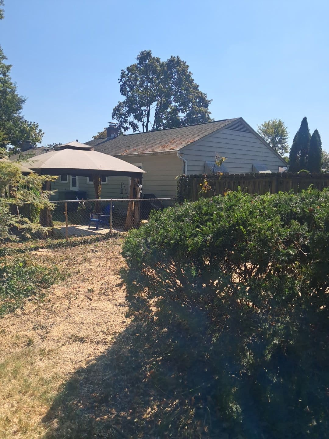 Gallery photos for Backyard Transformation with Maple Tree Removal: Image #1