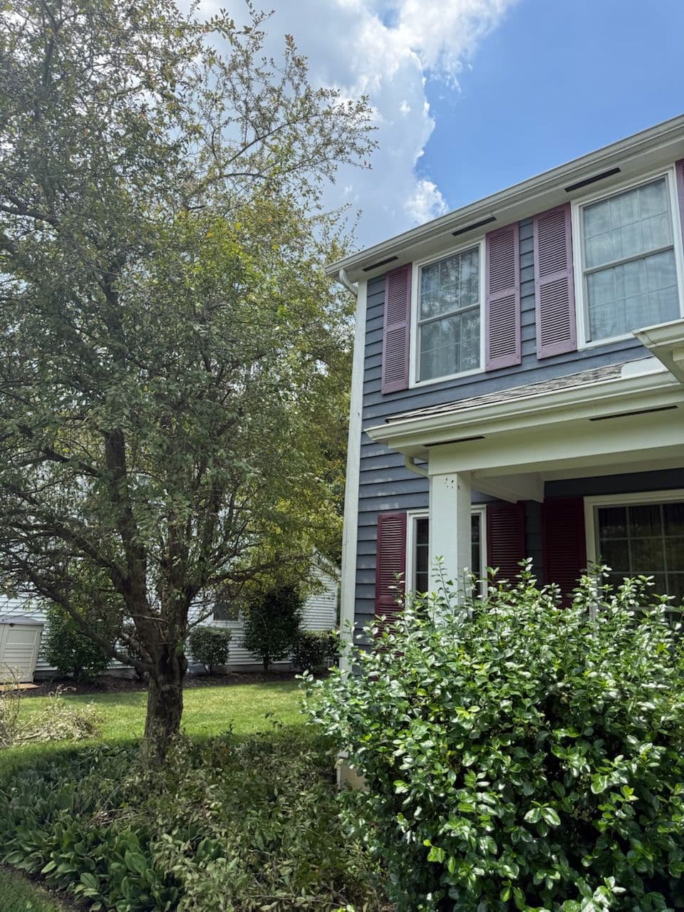 Project Beautiful Tree Trim in Columbus Neighborhood image