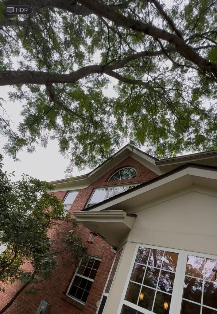Tree Trimming Transformation in New Albany image