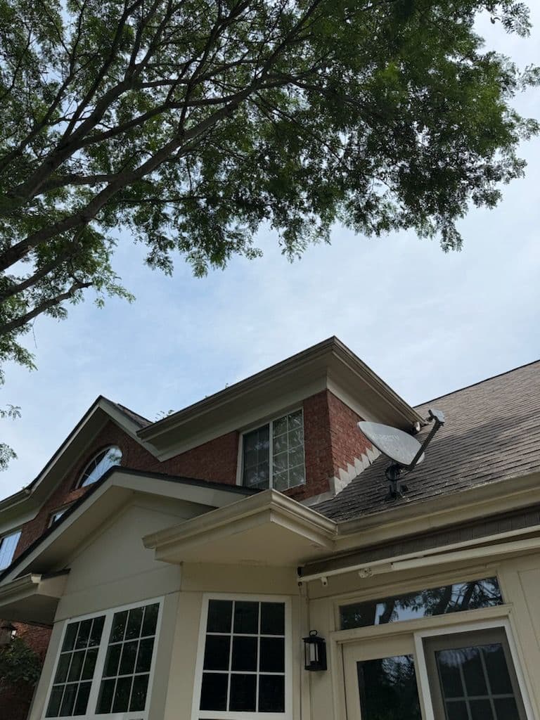 Gallery photos for Tree Trimming Transformation in New Albany: Image #1