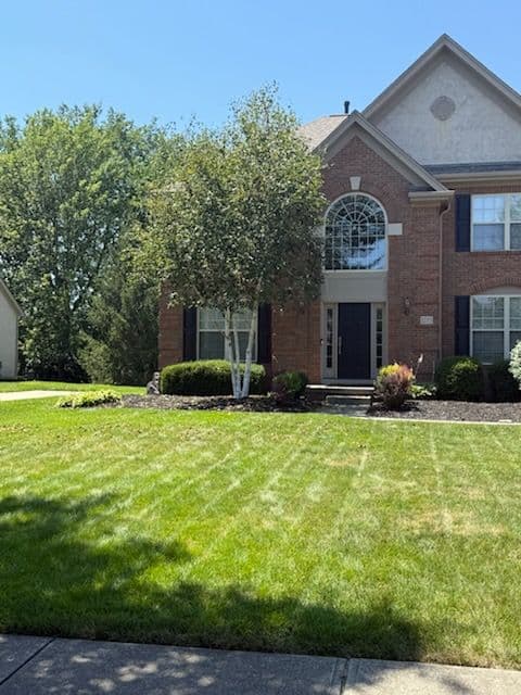 Gallery photos for Stunning Tree Trim and Landscape Care: Image #2