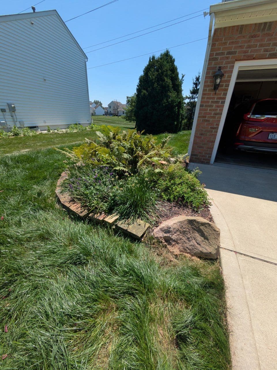 Project Storm-Damaged Tree Expertise in Ohio image