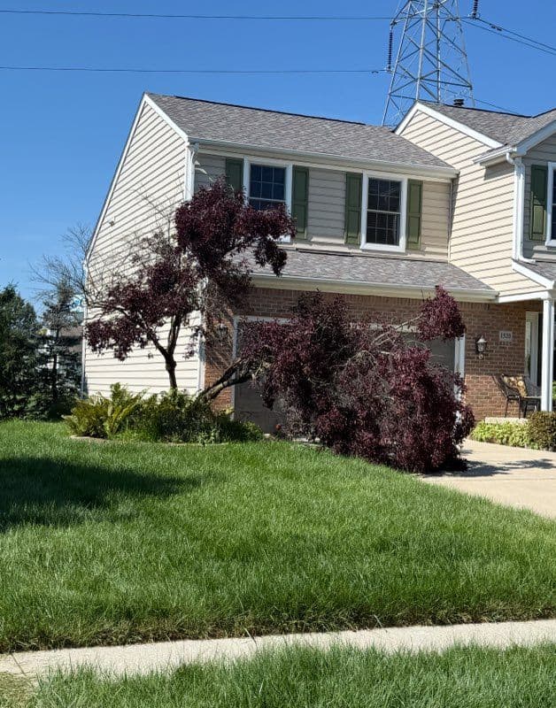 Gallery photos for Storm-Damaged Tree Expertise in Ohio: Image #1