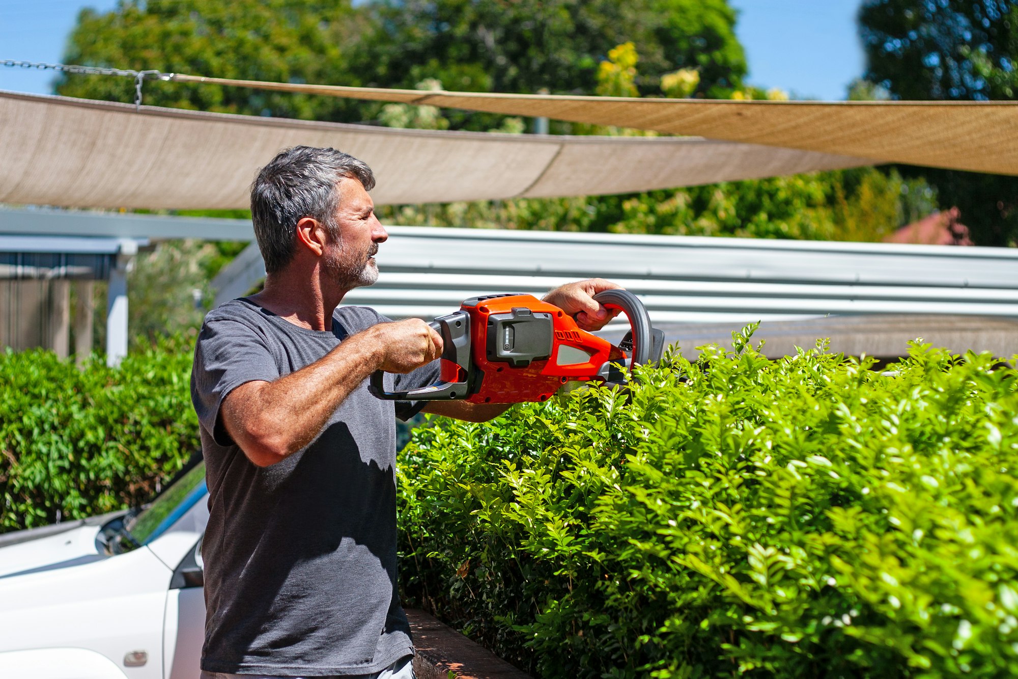 A man trimming a hedge in a backyard