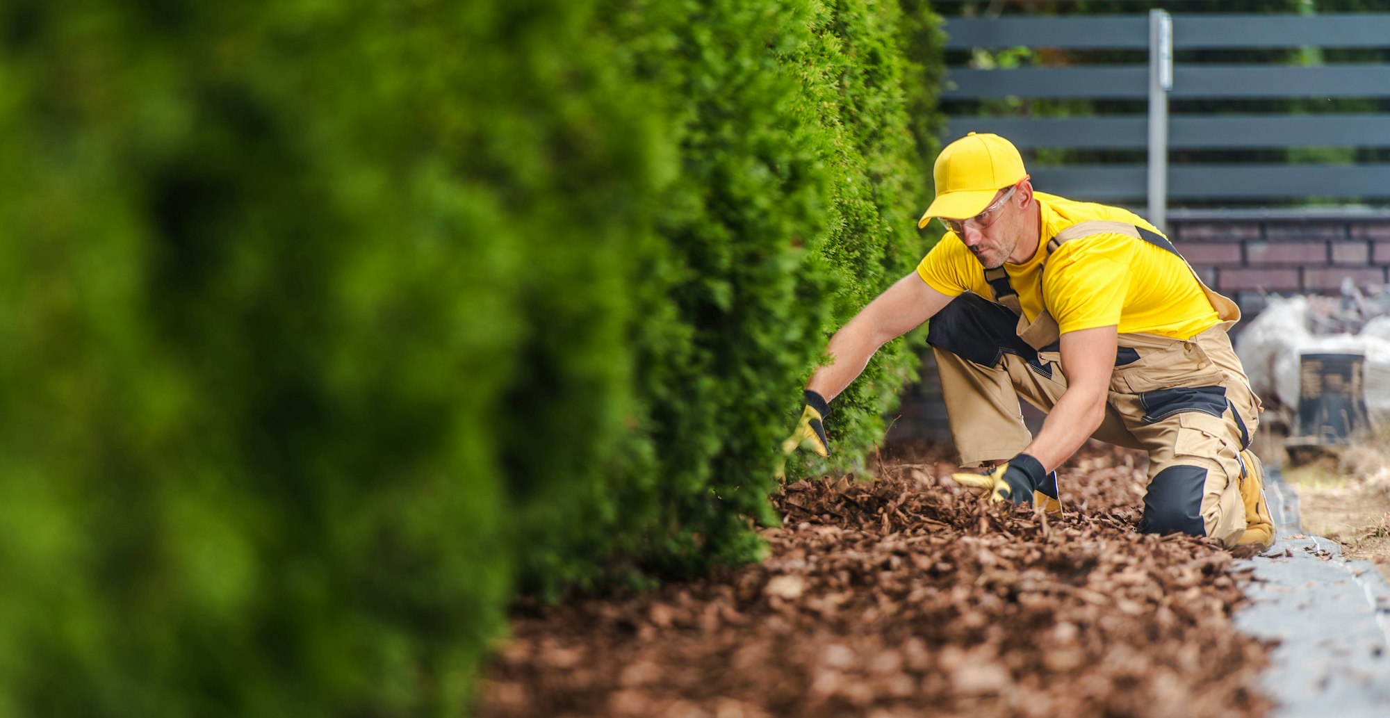 Professional Gardener Arranging the Garden Mulch in the Front Yard