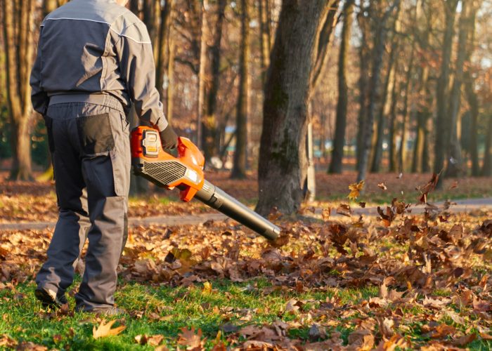 Unrecognizable male worker using leaf blower in city park in fall. Back view of strong man wearing protective overalls blowing out dry leaves from green lawn. Concept of seasonal work.